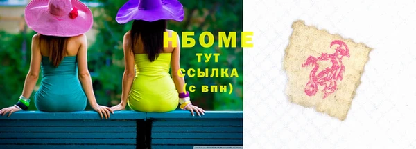 прущие грибы Баксан