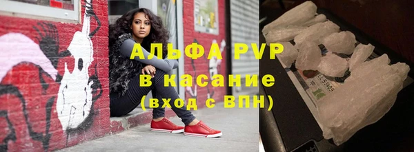 прущие грибы Баксан
