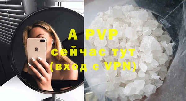 прущие грибы Баксан