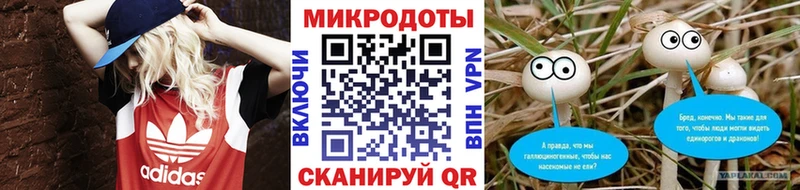 Галлюциногенные грибы Cubensis  Демидов 